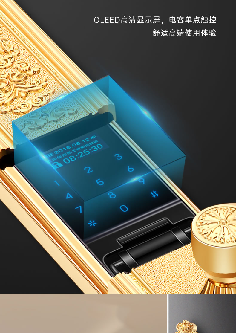 黑龍智能鎖 8848指靜脈豪華別墅智能密碼鎖電子門鎖