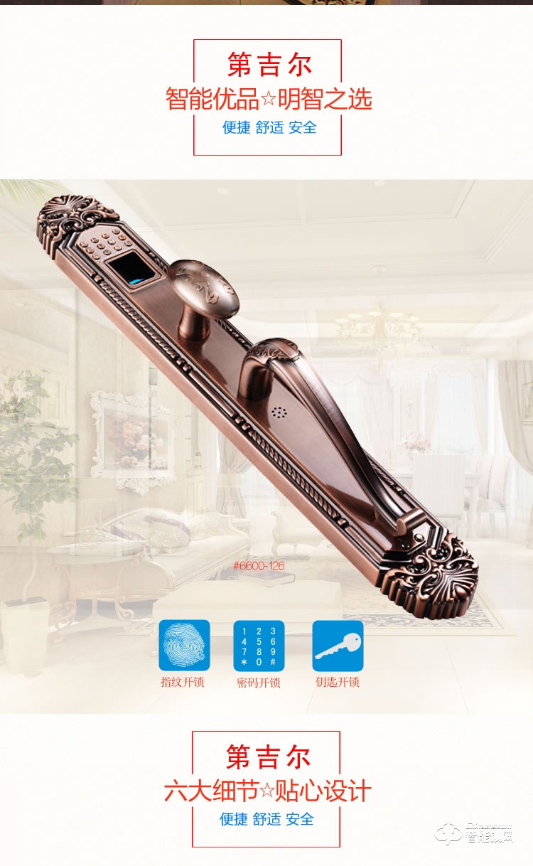 第吉爾智能鎖和 #6600-126歐式木門大門智能鎖