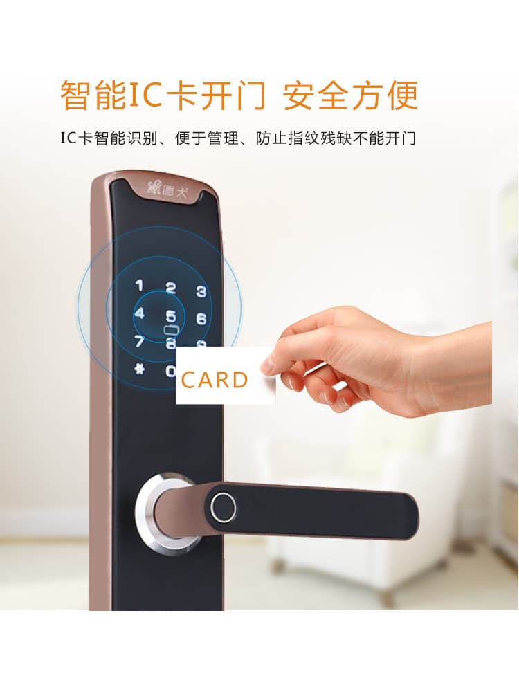 德犬智能鎖 L8直板人臉識(shí)別智能鎖