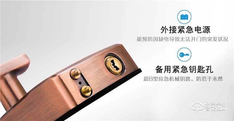 中祥Facedoor智能鎖 FD-01人臉識別鎖