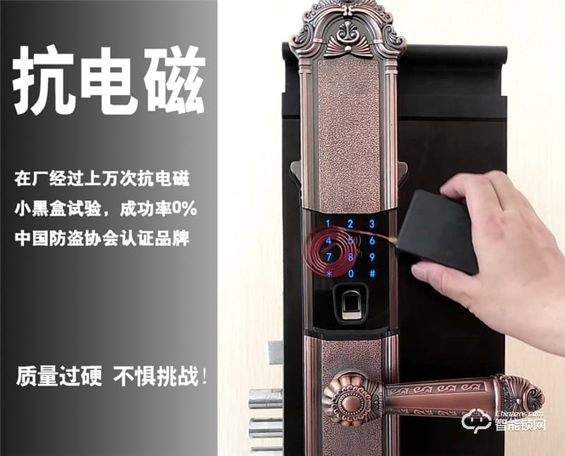 孚睿智能鎖 歐式別墅雙開門對開門指紋鎖