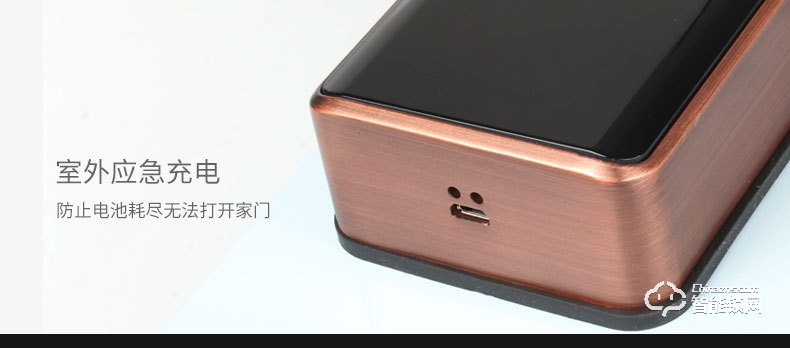 艾爾邁智能鎖 全自動防盜智能門鎖