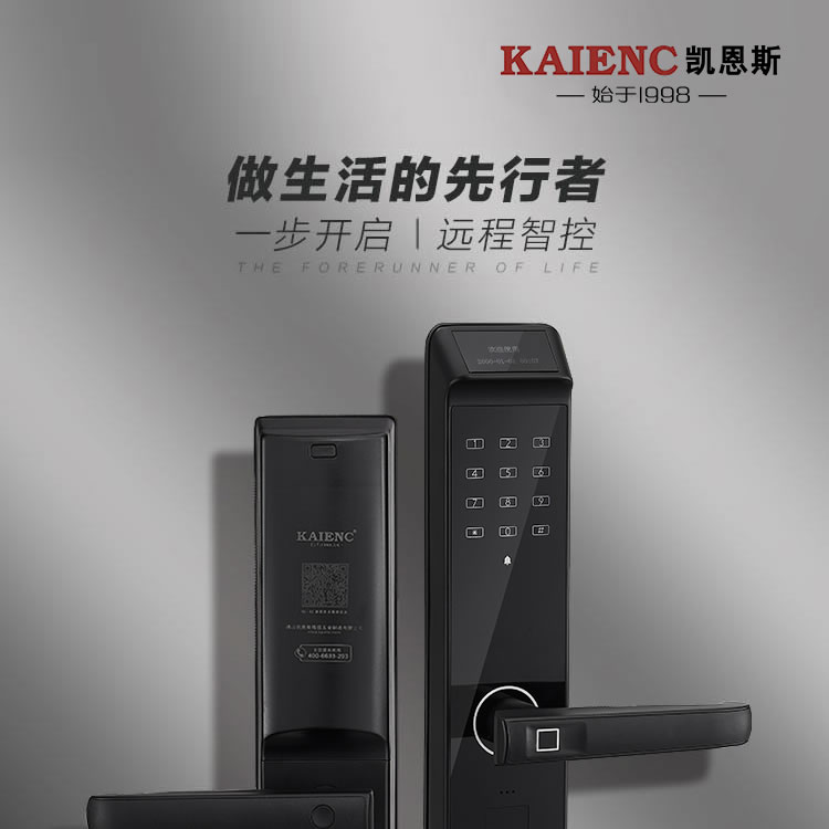 凱恩斯智能鎖 極光家用磁卡密碼鎖防盜門入戶鎖
