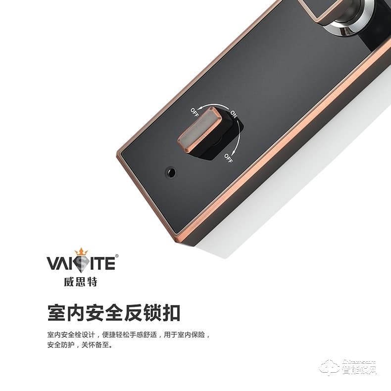 威思特智能鎖 N5人臉識別智能鎖