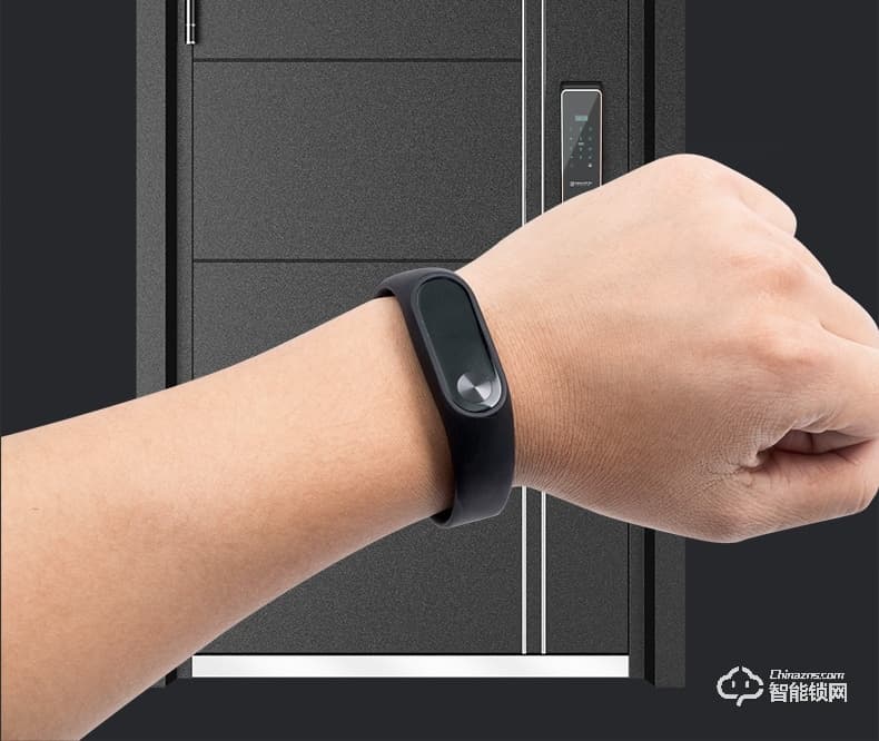 雅安泰智能門 智能入戶門子母門