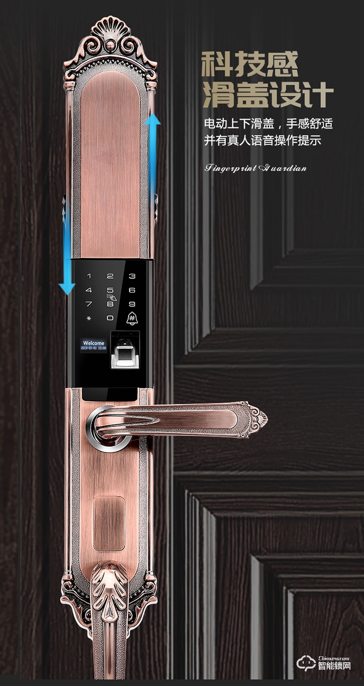 薩萊明智能鎖 V8別墅鋅合金智能門鎖