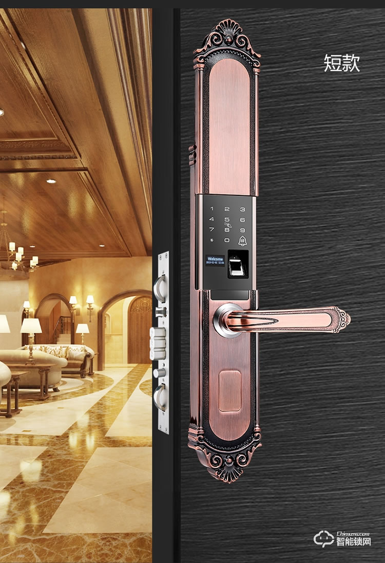 薩萊明智能鎖 V8別墅鋅合金智能門鎖