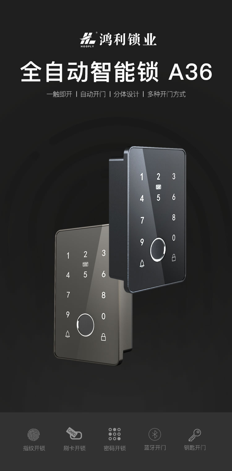 鴻利智能鎖 A36家用防盜門智能鎖