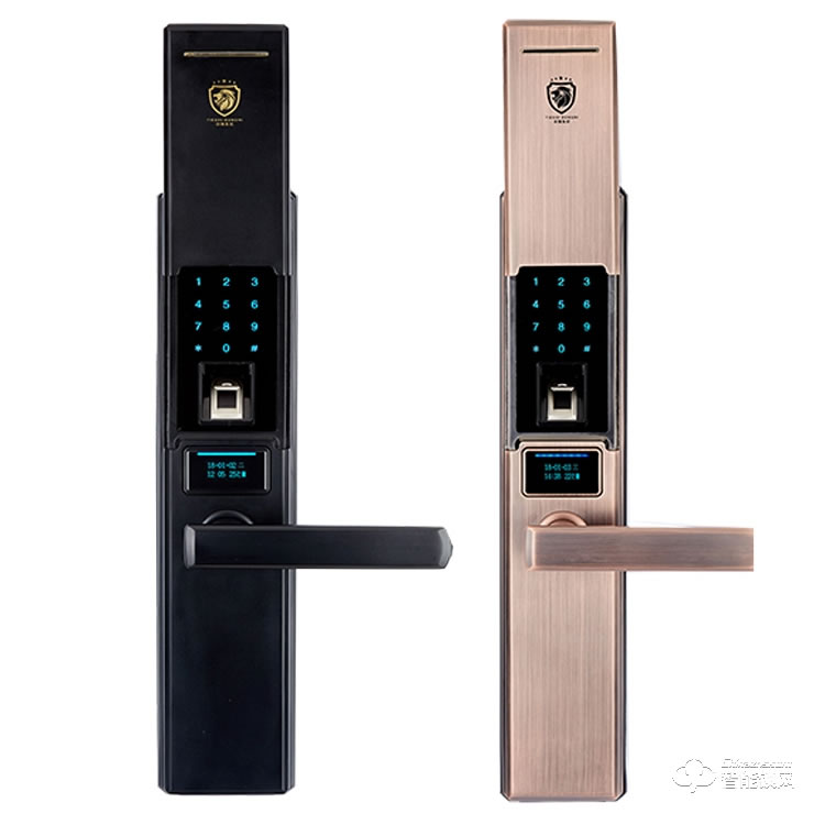 鐵獅東尼智能鎖 TS-900全自動滑蓋智能密碼鎖