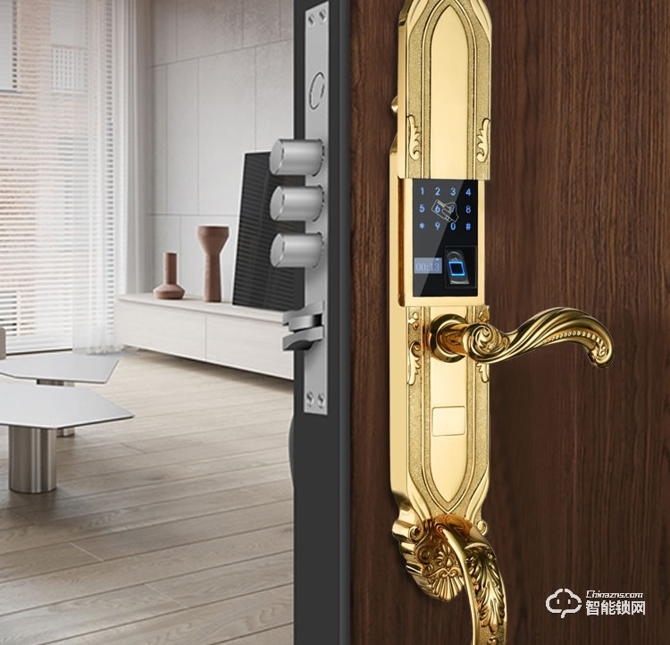 樂固智能鎖 F2大拉手豪華別墅式智能鎖