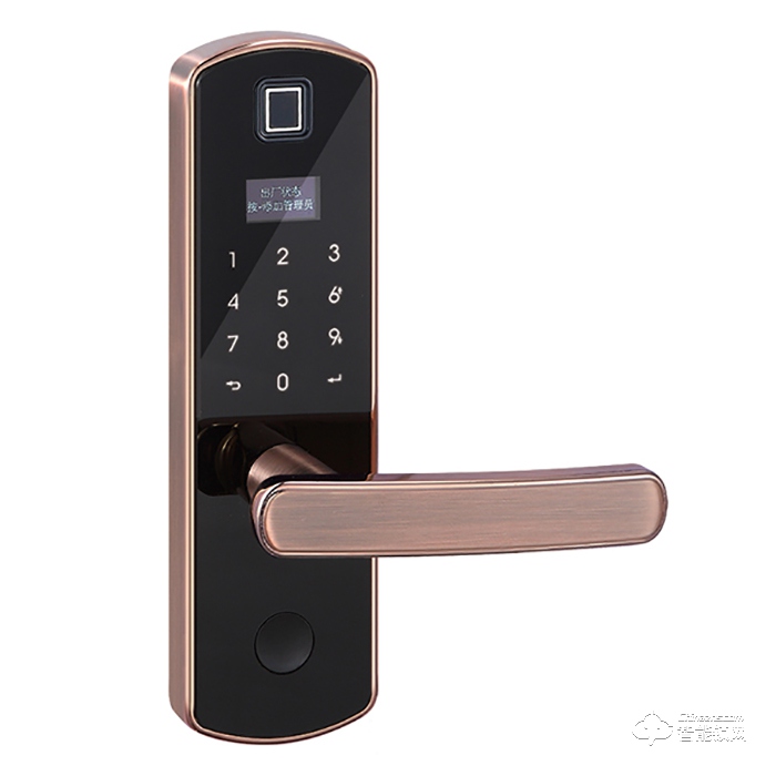 思戈瑞智能鎖 Mini2-AC防盜門木門室內門鎖