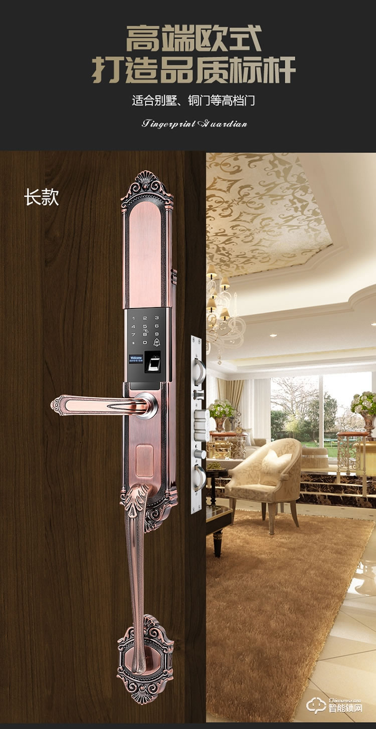 唐人街智能鎖 860歐式別墅大門指紋鎖