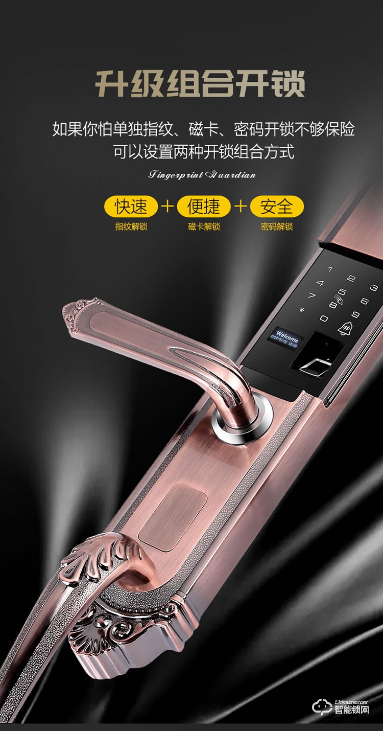 唐人街智能鎖 860歐式別墅大門指紋鎖