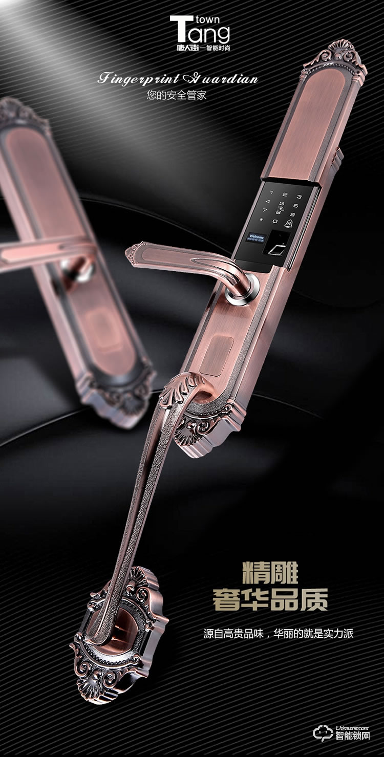 唐人街智能鎖 860歐式別墅大門指紋鎖