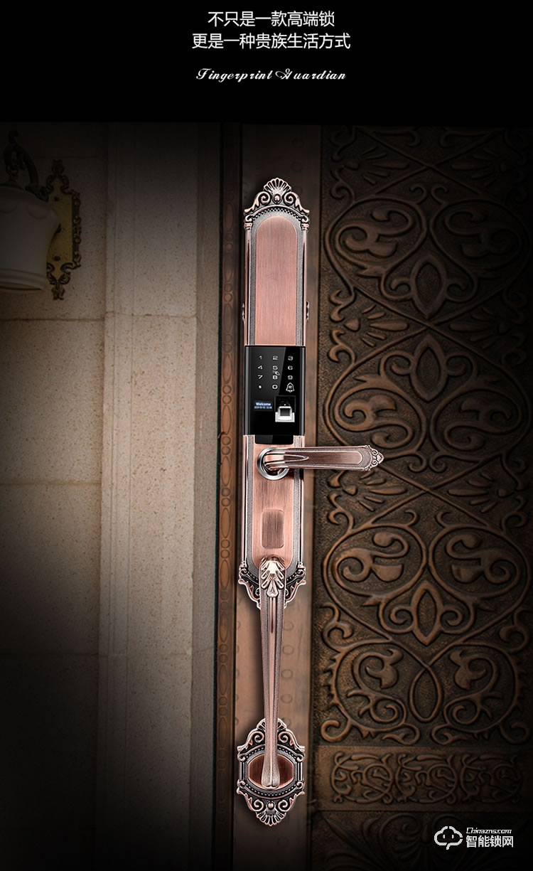 唐人街智能鎖 860歐式別墅大門指紋鎖