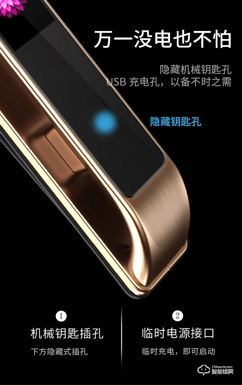 凌振智能鎖 邁凱倫全自動(dòng)人臉識(shí)別智能鎖