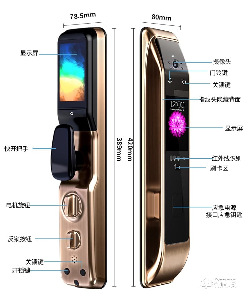 凌振智能鎖 邁凱倫全自動(dòng)人臉識(shí)別智能鎖