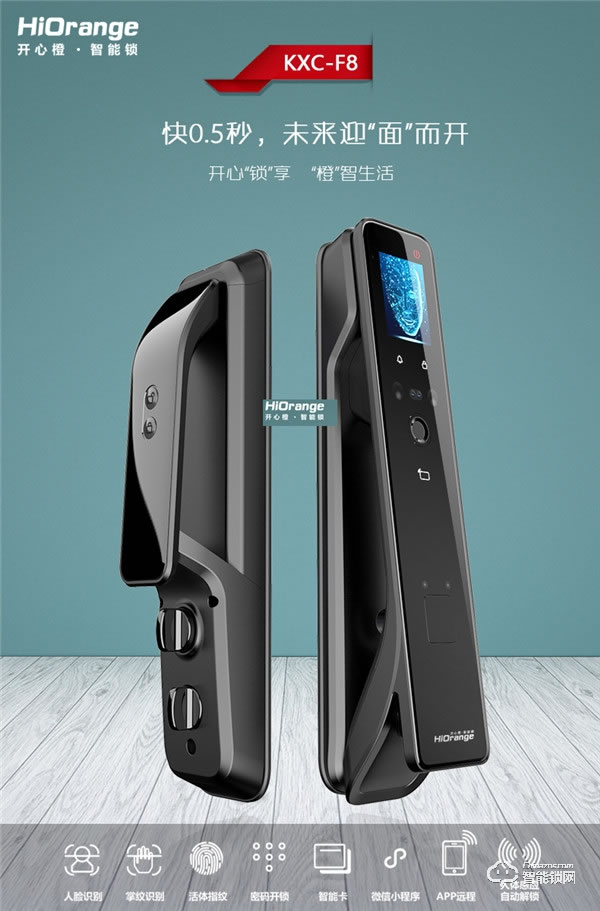 凌振智能鎖 家用全自動人臉識別智能鎖