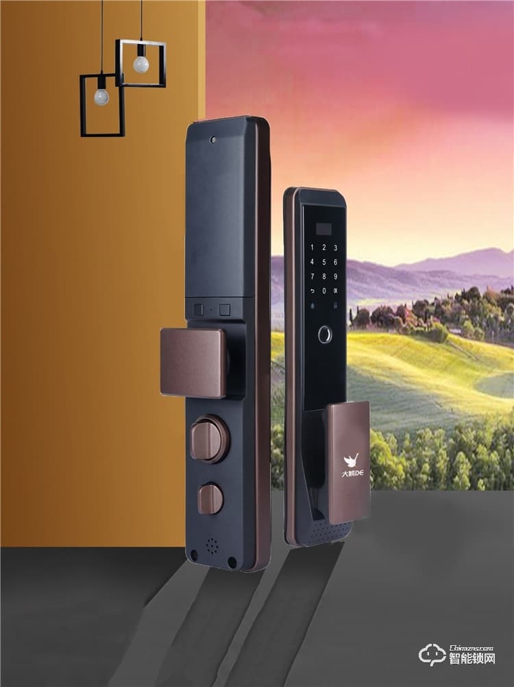 大鵝智能鎖 全自動(dòng)遠(yuǎn)程防盜門(mén)智能鎖