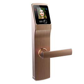 道思智能鎖 智能鎖（紅古銅）智能觸摸開機(jī)、持久耐用