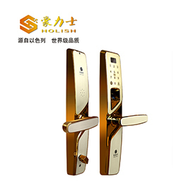 豪力士指紋鎖  I2016F家用防盜門智能鎖密碼鎖電子鎖手機感應刷卡智能鎖