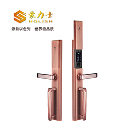 豪力士指紋鎖  L8866F手機感應智能鎖家用防盜大門密碼鎖刷卡智能電子鎖