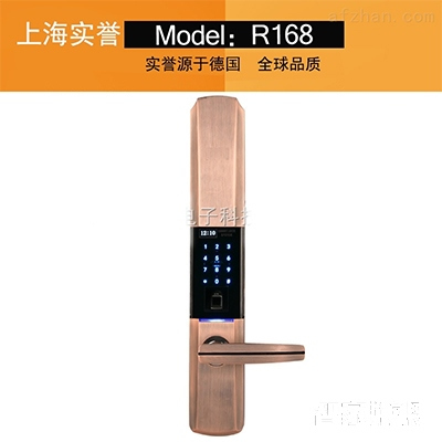 實譽指紋鎖 室外電子防盜門鎖 智能半導(dǎo)體鎖