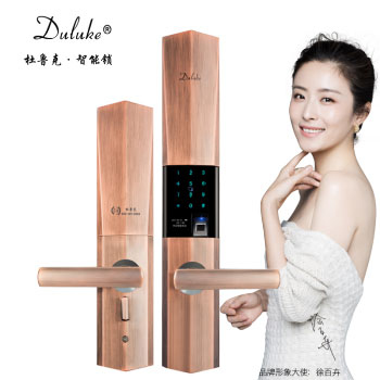 杜魯克智能鎖 家用防盜門指紋鎖別墅門銅門刷卡密碼鎖