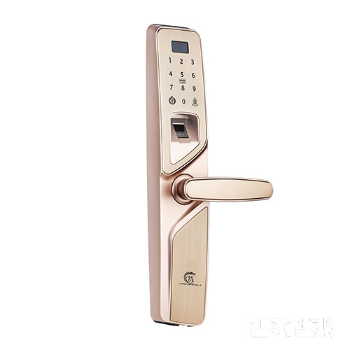 放龍科技智能鎖 鋅合金智能指紋鎖 四合一防盜電子密碼鎖