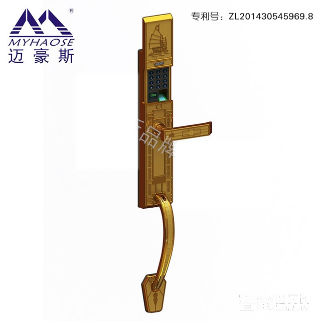 靈寶公寓防盜門智能鎖 家用電子感應鎖