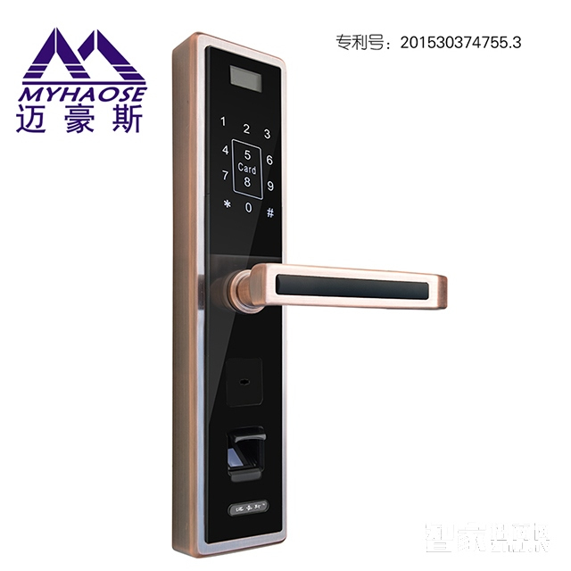 靈寶全自動智能鎖 家用木門室內指紋密碼鎖