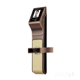 泓鑫人臉識別智能鎖 公寓別墅智能鎖