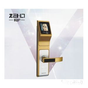 科護人臉識別智能鎖 家用防盜門鎖