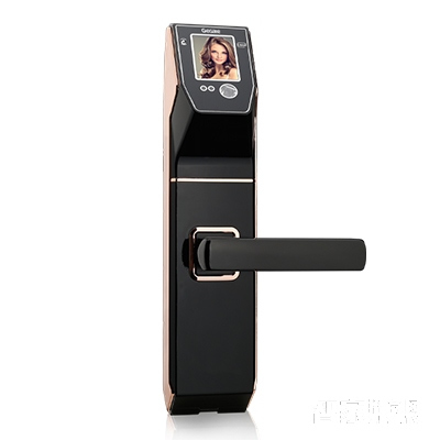 易捷特人臉識別鎖D018 鋅合金智能刷卡鎖密碼鎖