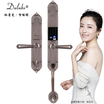 杜魯克智能鎖 歐式別墅大門指紋鎖雙開門銅門鑄鋁門智能鎖