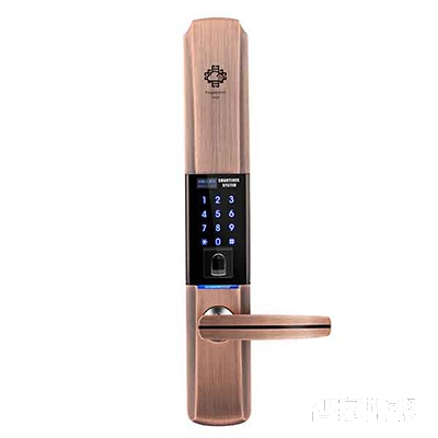 堅(jiān)甲衛(wèi)士瑞典指紋頭平滑蓋指紋鎖 密碼刷卡鎖