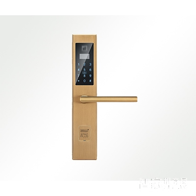 智家人指紋鎖 防盜門木門智能鎖 電子磁卡鎖