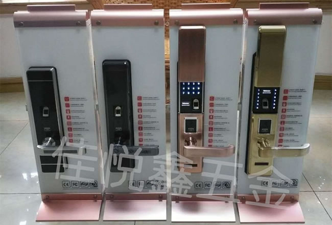 佳悅鑫智能指紋密碼鎖 家防盜門大門電子鎖 國際防盜鎖體