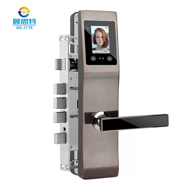 顧思特人臉識別鎖 掌紋靜脈電子門鎖