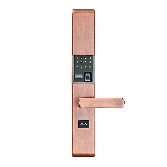 帥榮智能鎖 不銹鋼指紋識別鎖 電子感應密碼鎖