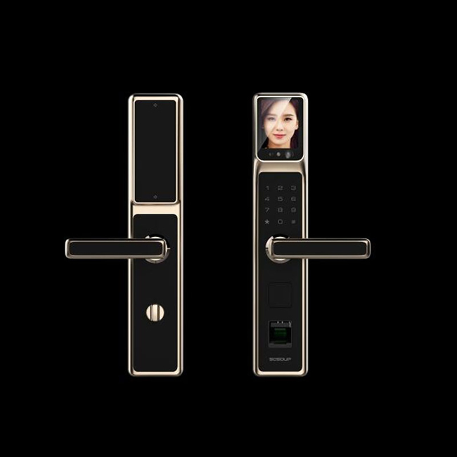 歐寶麗智能鎖 人臉識別密碼鎖 高檔小區人臉識別鎖