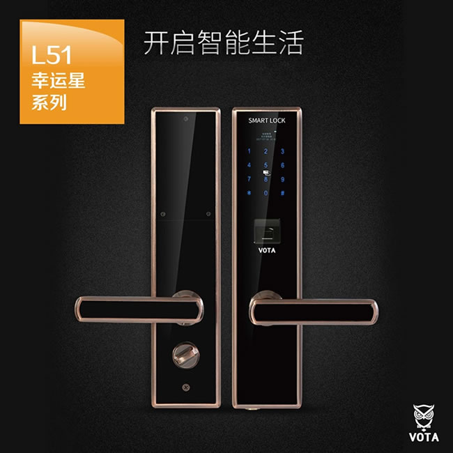 沃塔智能鎖 家用指紋密碼鎖 防盜門智能鎖