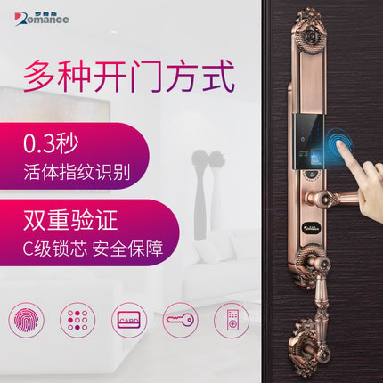 羅曼斯全自動智能鎖DD2 家用防盜門指紋鎖密碼電子入戶門鎖