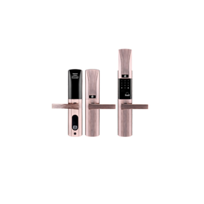 天喬半導(dǎo)體指紋電子密碼鎖 磁卡密碼鎖