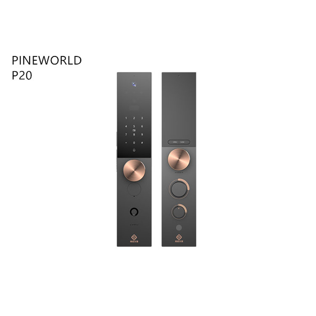 青松沃德智能鎖 防盜指紋密碼鎖 家用直板智能門鎖