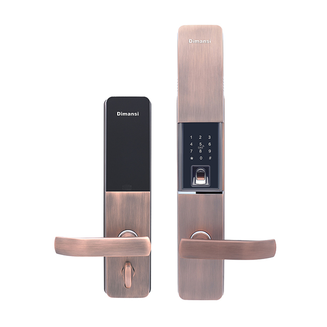 迪曼斯智能鎖 智能家居家用防盜門密碼磁卡鎖LS-03