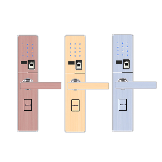 迪曼斯智能鎖 智能家居家用防盜門密碼磁卡鎖 智能電子鎖LS-06