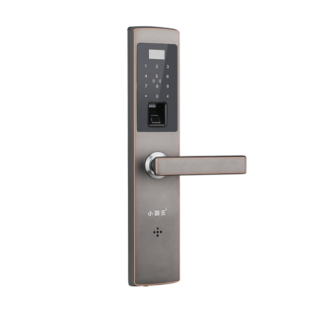 小霸王指紋鎖 防盜指紋鎖E6 密碼鎖指紋鎖