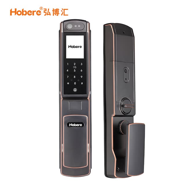 弘博匯指紋鎖 H6人臉識別自動智能鎖 