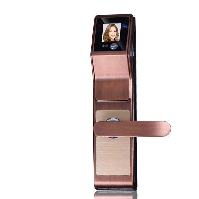 浩宇興智能鎖 人臉識別鎖掃臉門鎖密碼鎖刷卡鎖智能鎖